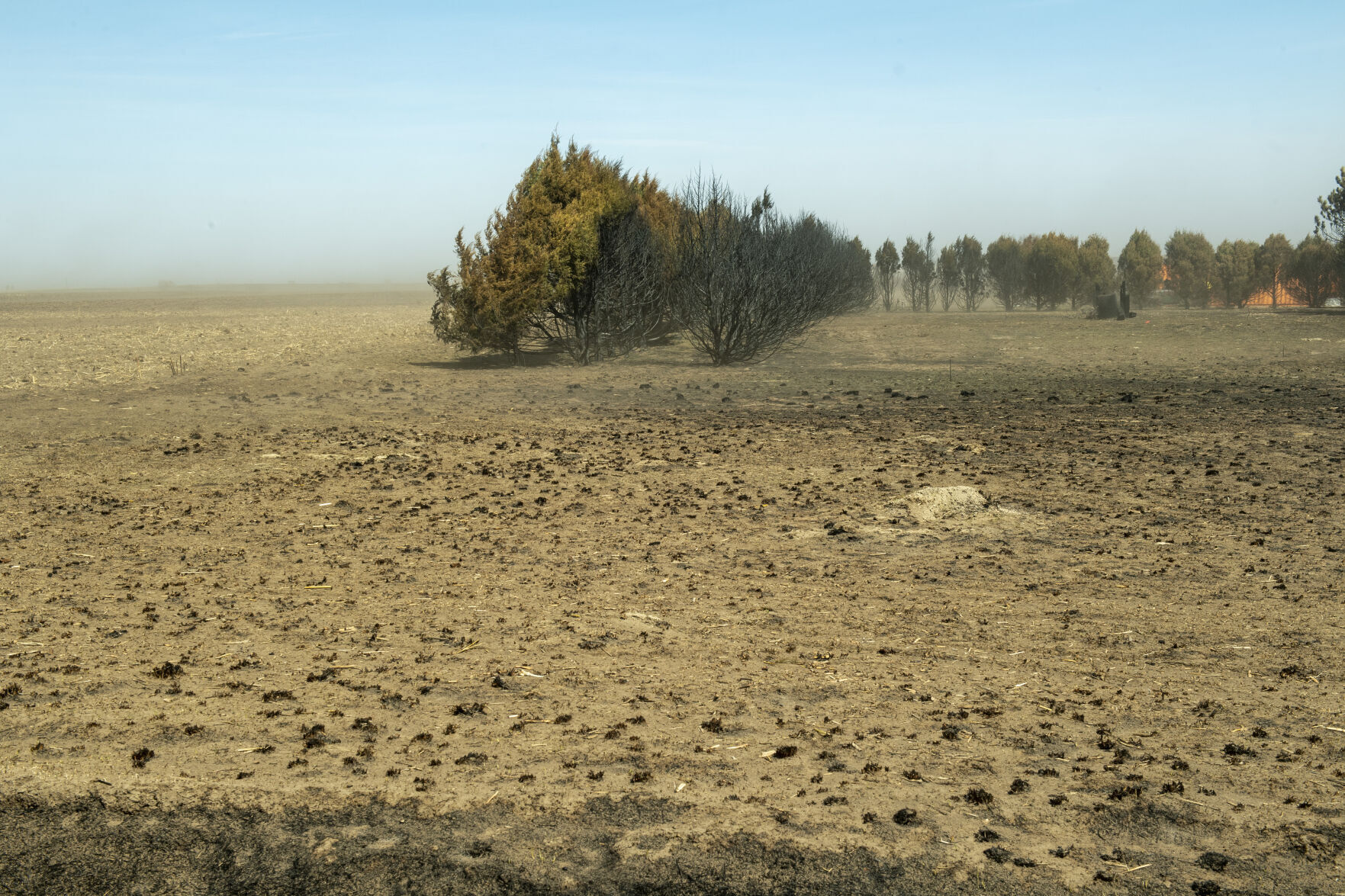 Wildfire, 4.12